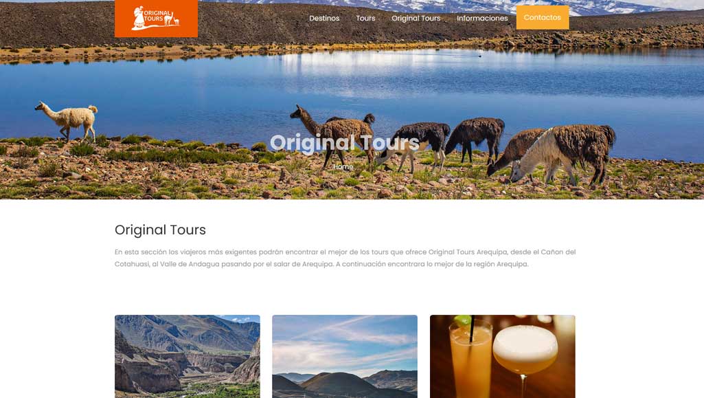 Original Tours Arequipa - schermata del progetto